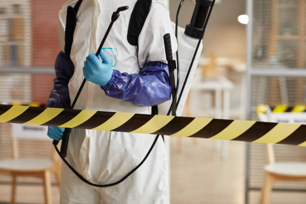 Professional Sewage Cleanup technician working in Harvard, IL